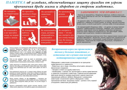 ПАМЯТКА об условиях, обеспечивающих защиту граждан от угрозы причинения вреда жизни и здоровью со стороны животных.